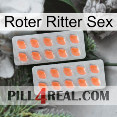 Red Knight Sex 27